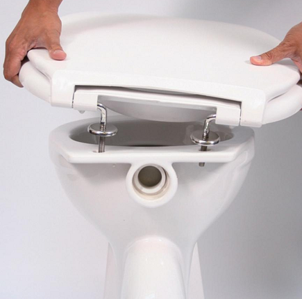 How to remove an old toilet seat?