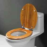 //iprorwxhpkonln5p.ldycdn.com/cloud/llBpnKiilpSRjjjnjoniio/ergonomic-toilet-seat-cost-Billion.png