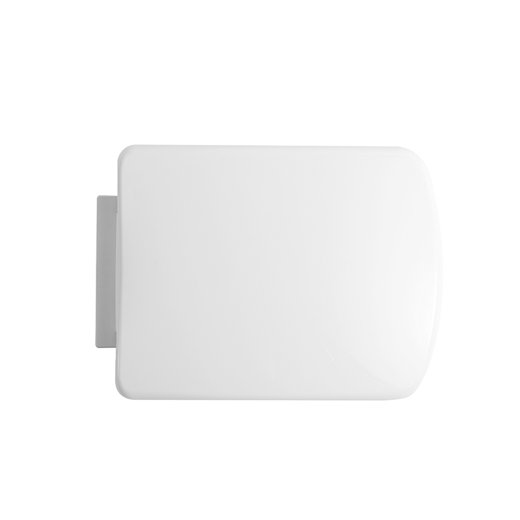 PP Toilet Lid A-519A